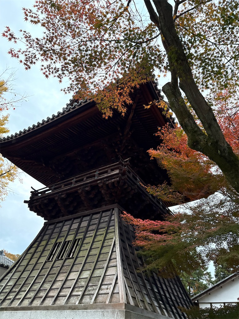 f:id:goukakuigakubu:20251122200034j:image