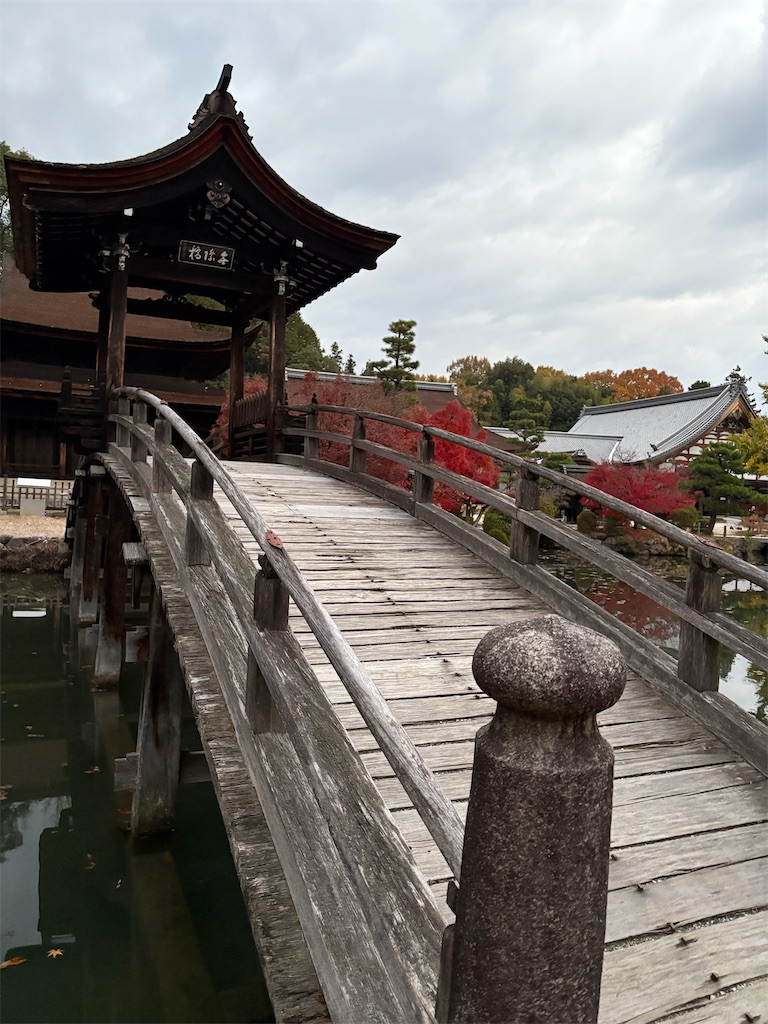 f:id:goukakuigakubu:20251122200037j:image