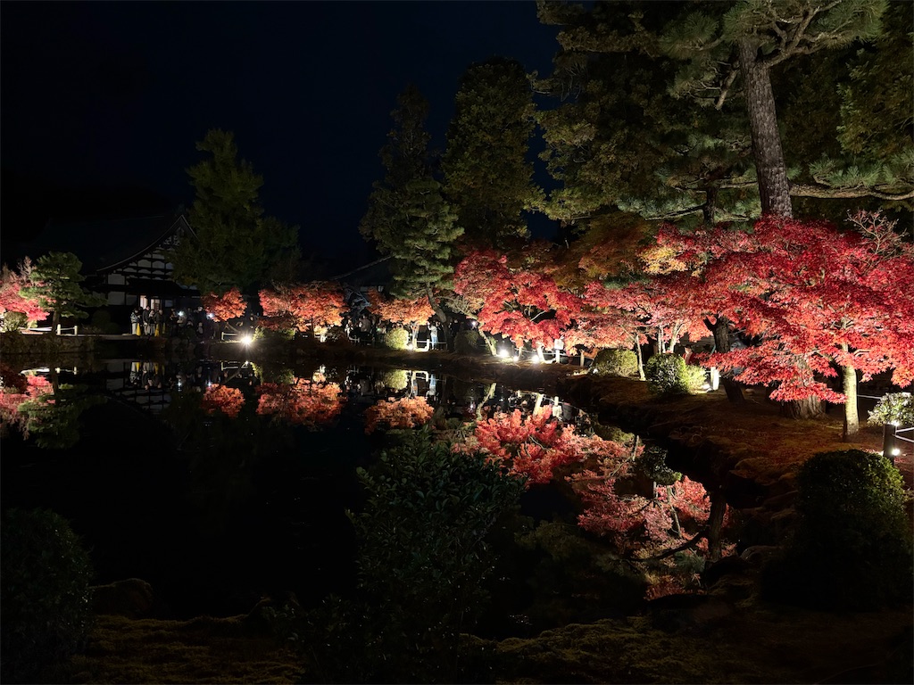 f:id:goukakuigakubu:20251122211338j:image