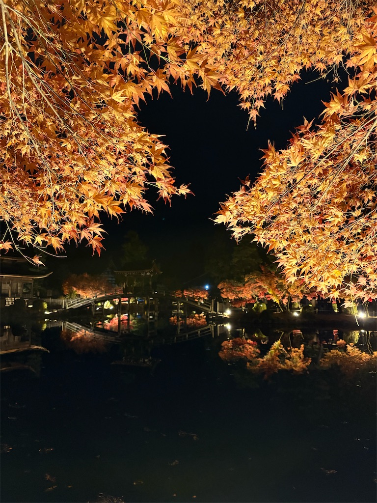 f:id:goukakuigakubu:20251122211343j:image