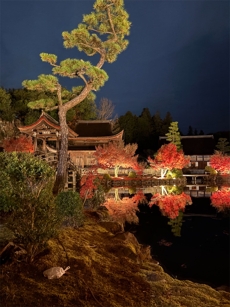 f:id:goukakuigakubu:20251122211345j:image