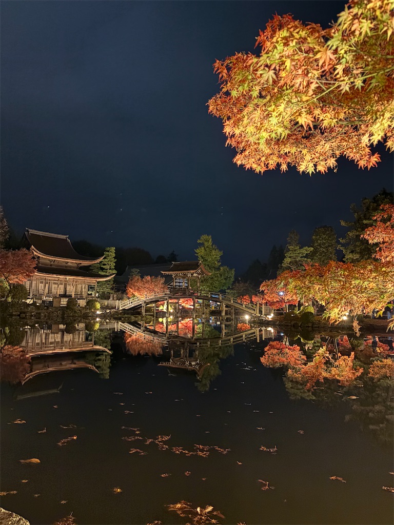 f:id:goukakuigakubu:20251122211349j:image