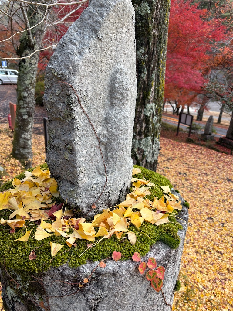 f:id:goukakuigakubu:20251206190518j:image f:id:goukakuigakubu:20251206190518j:image