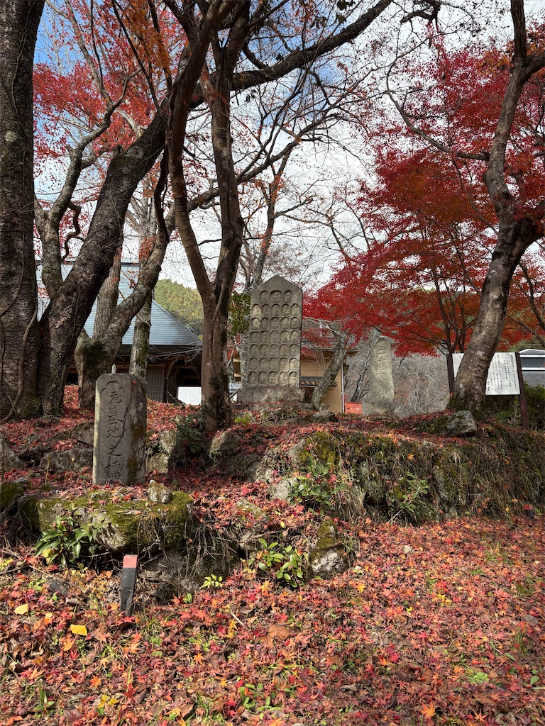 f:id:goukakuigakubu:20251206190526j:image f:id:goukakuigakubu:20251206190526j:image