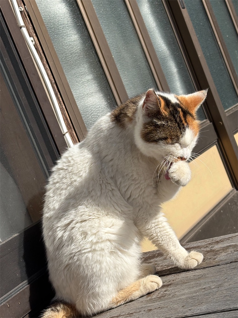 f:id:goukakuigakubu:20260102091159j:image f:id:goukakuigakubu:20260102091159j:image