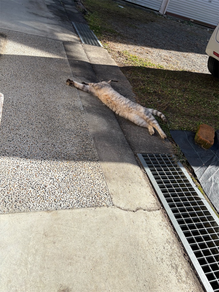 f:id:goukakuigakubu:20260102091207j:image f:id:goukakuigakubu:20260102091207j:image