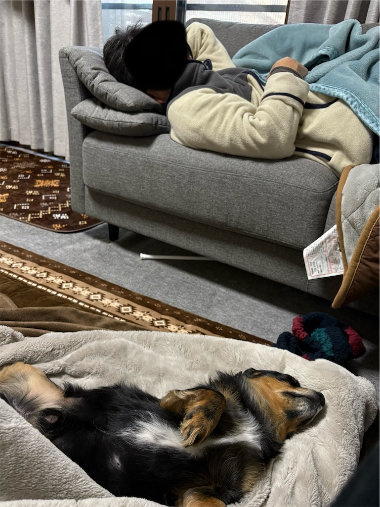 f:id:goukakuigakubu:20260102100942j:image f:id:goukakuigakubu:20260102100942j:image