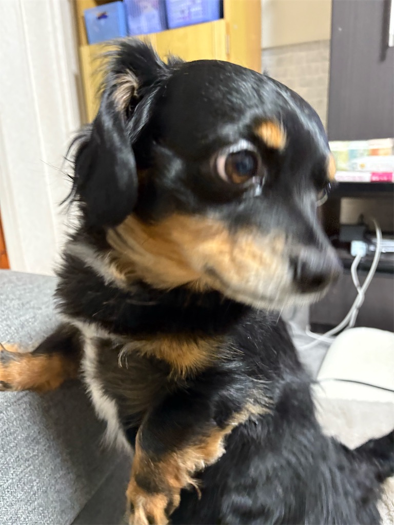 f:id:goukakuigakubu:20260202091442j:image