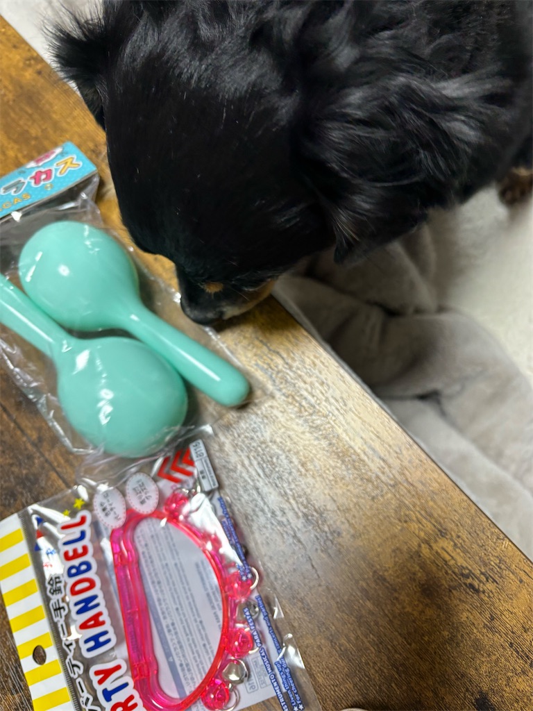 f:id:goukakuigakubu:20260226170728j:image
