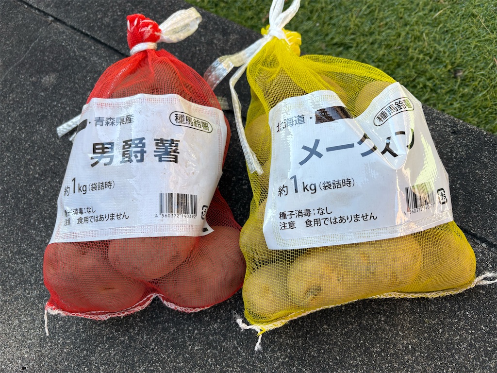 f:id:goukakuigakubu:20260226175956j:image