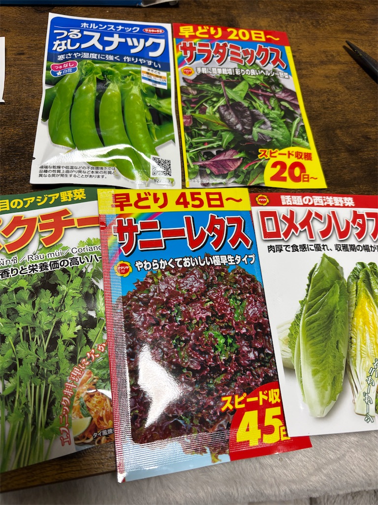 f:id:goukakuigakubu:20260226175959j:image