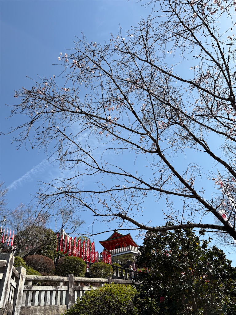 f:id:goukakuigakubu:20260306103423j:image