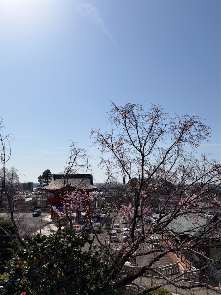 f:id:goukakuigakubu:20260306103430j:image