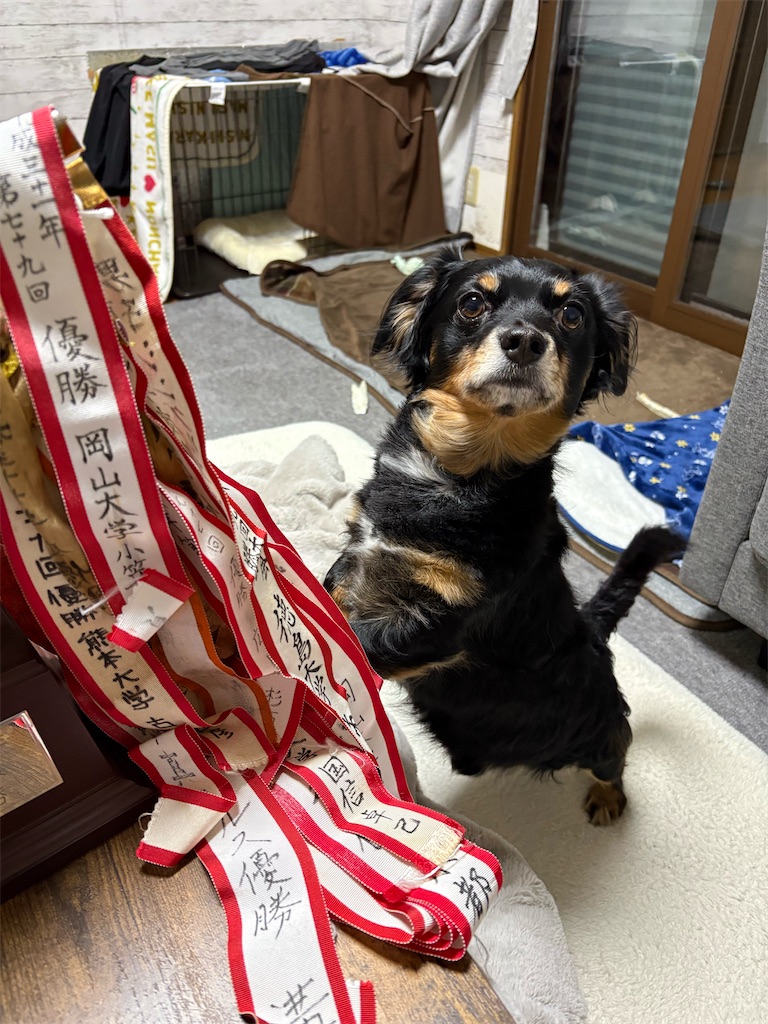 f:id:goukakuigakubu:20260323171554j:image