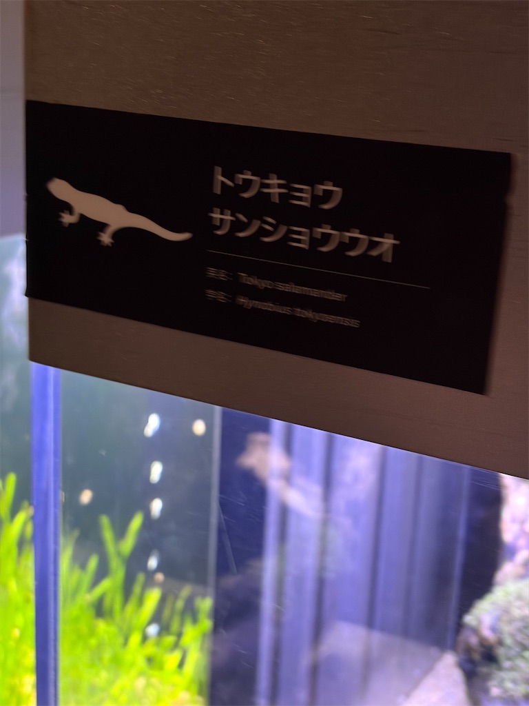 f:id:goukakuigakubu:20260324164458j:image