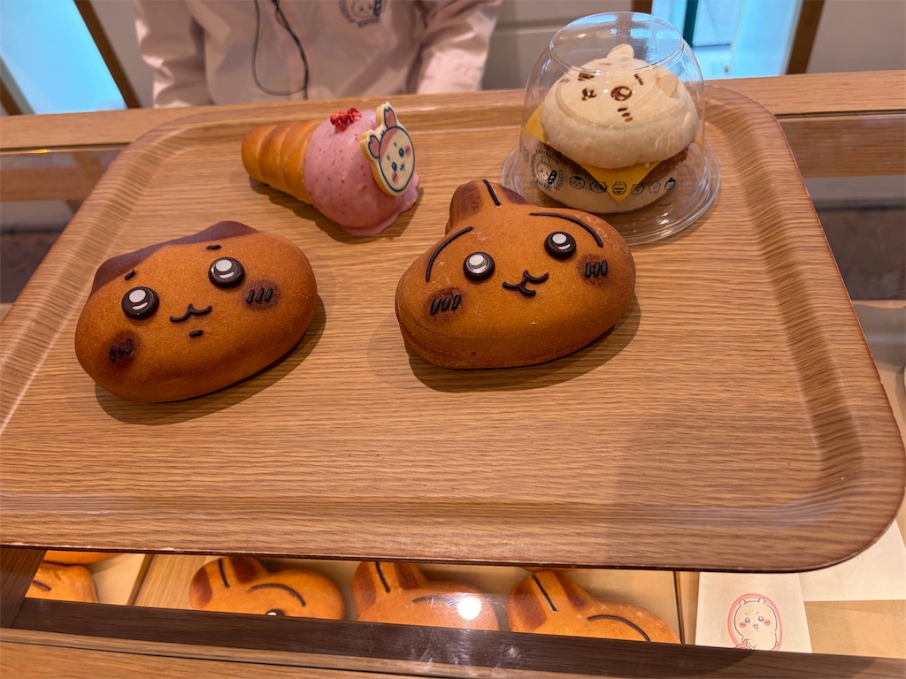 f:id:goukakuigakubu:20260324165029j:image