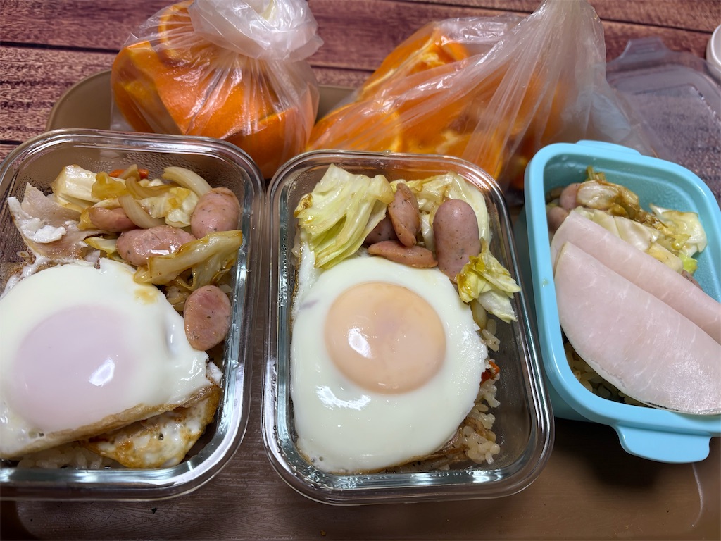 f:id:goukakuigakubu:20260325155629j:image