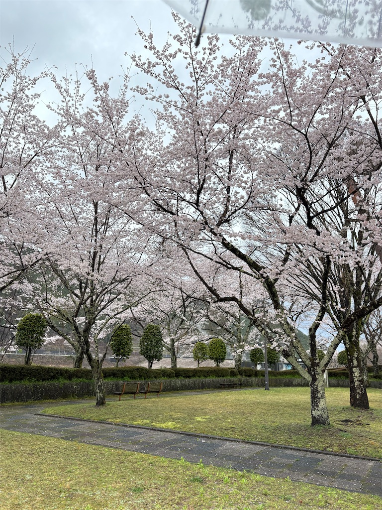 f:id:goukakuigakubu:20260331213917j:image