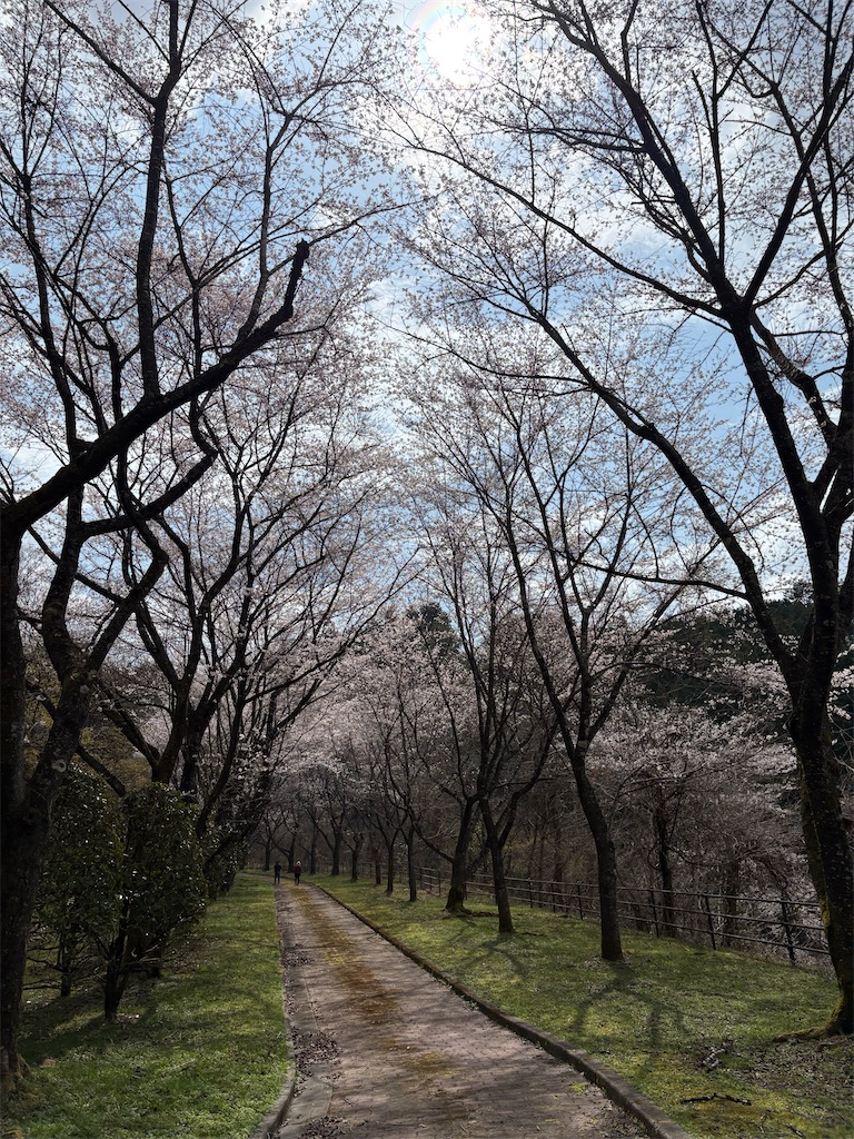f:id:goukakuigakubu:20260331213921j:image