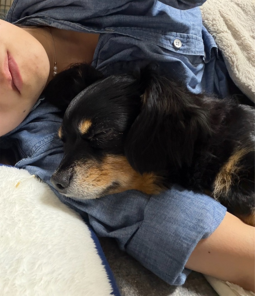 f:id:goukakuigakubu:20260421102130j:image