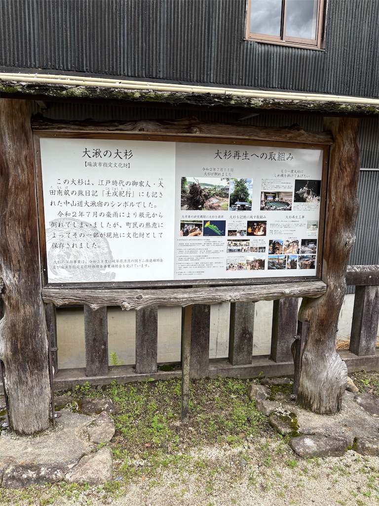 f:id:goukakuigakubu:20260424180943j:image f:id:goukakuigakubu:20260424180943j:image