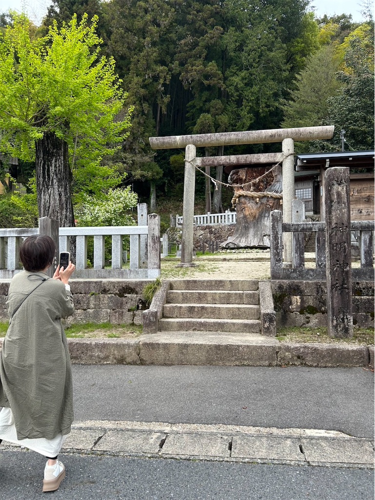 f:id:goukakuigakubu:20260424180952j:image f:id:goukakuigakubu:20260424180952j:image