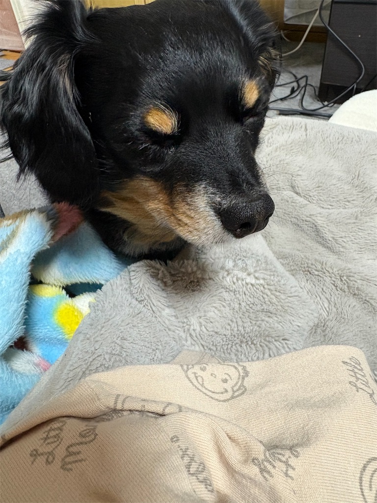 f:id:goukakuigakubu:20260424183138j:image f:id:goukakuigakubu:20260424183138j:image