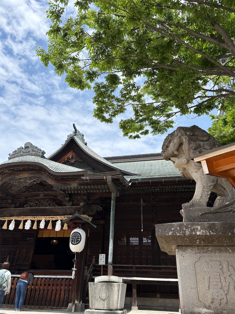 f:id:goukakuigakubu:20260526192437j:image