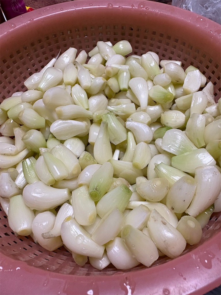 f:id:goukakuigakubu:20260619114454j:image