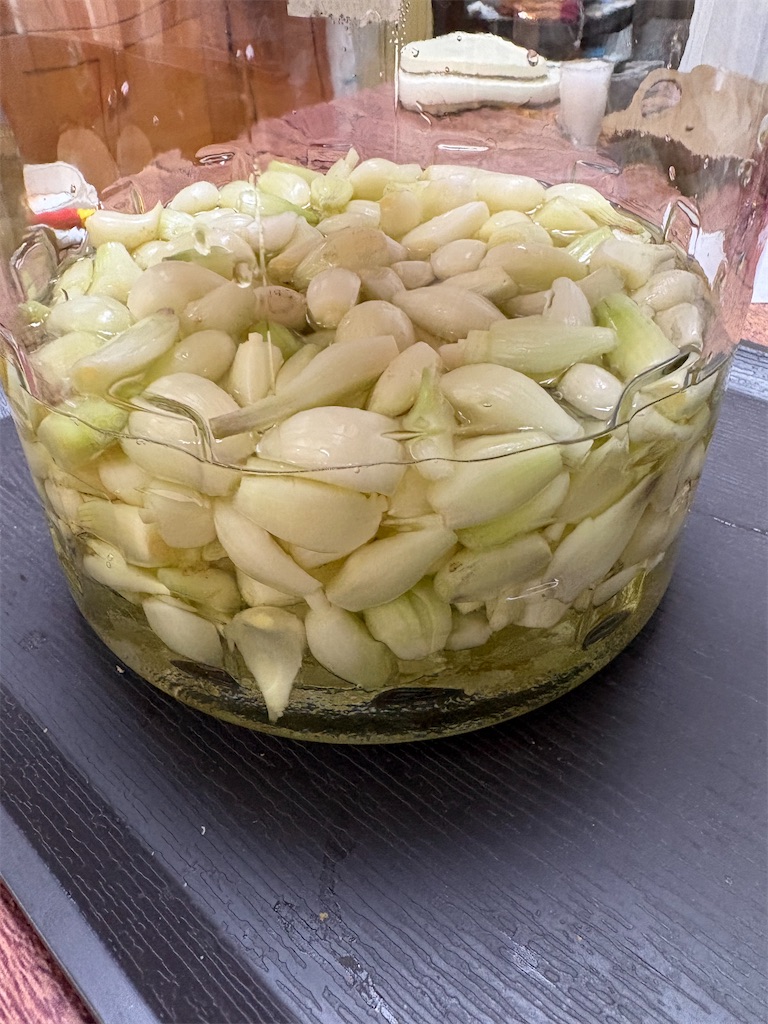 f:id:goukakuigakubu:20260619114805j:image
