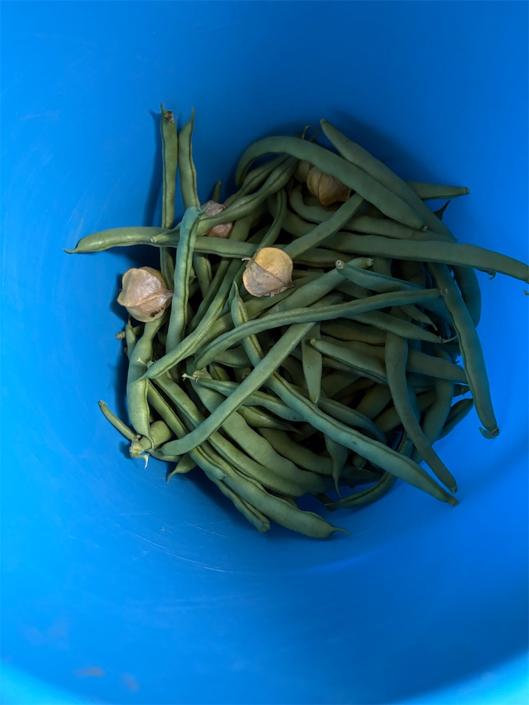 f:id:goukakuigakubu:20260717132151j:image f:id:goukakuigakubu:20260717132151j:image