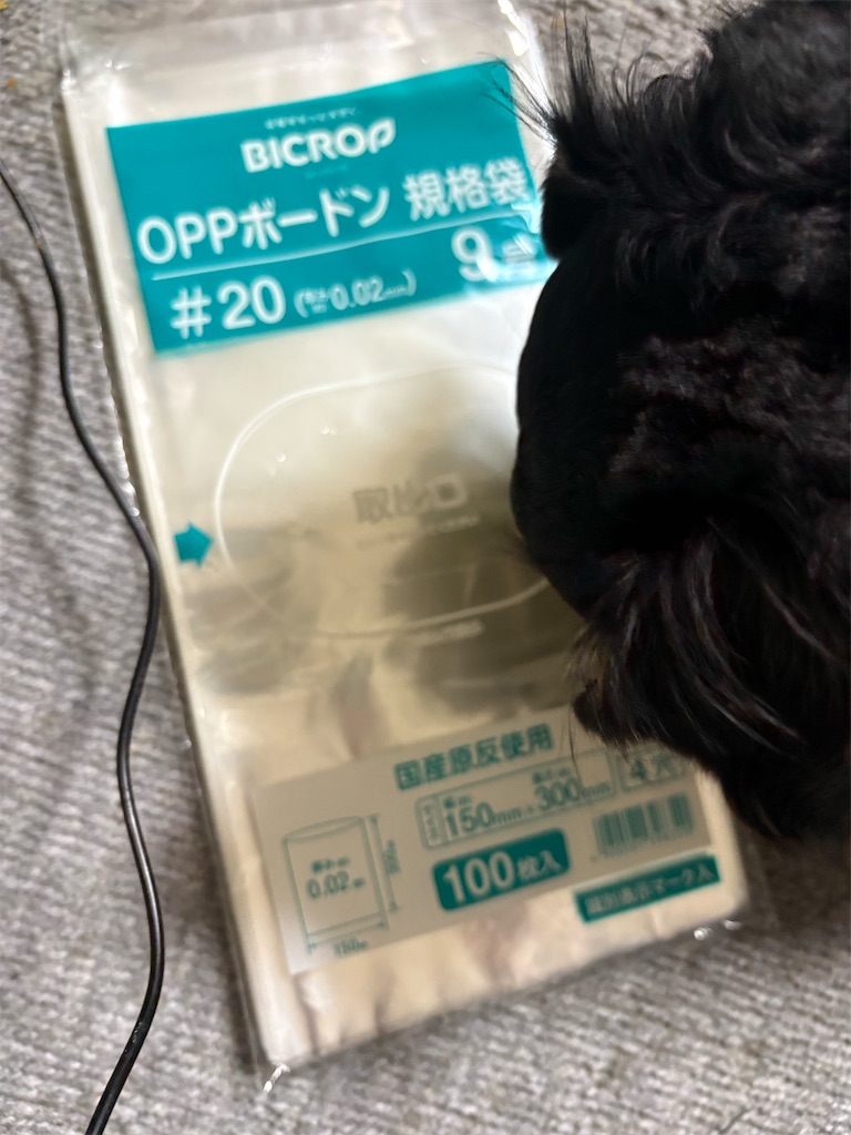 f:id:goukakuigakubu:20260722153216j:image f:id:goukakuigakubu:20260722153216j:image