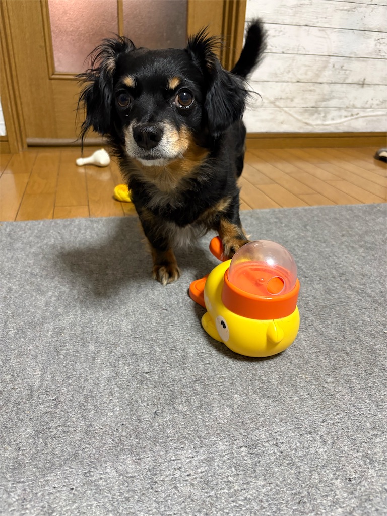 f:id:goukakuigakubu:20260827100526j:image