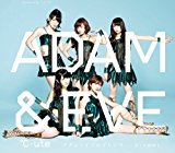 悲しき雨降り/アダムとイブのジレンマ(B)