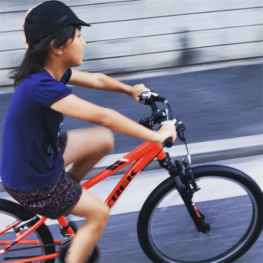 f:id:gouma39:20180721060357j:image
