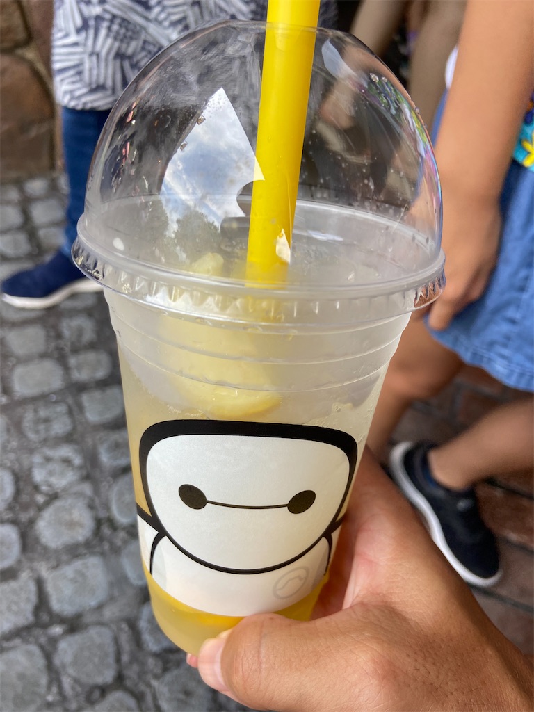 f:id:gouma39:20220816221738j:image f:id:gouma39:20220816221738j:image