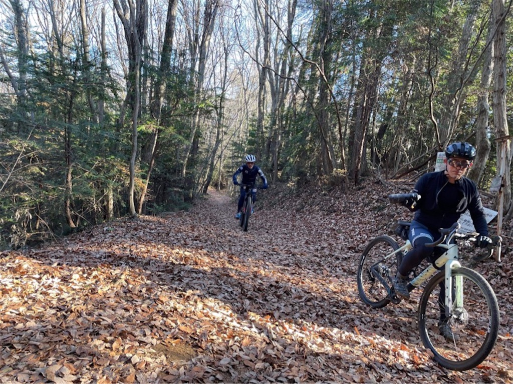 f:id:gouma39:20221229214603j:image