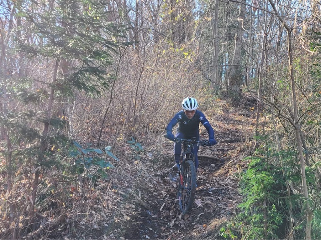 f:id:gouma39:20221229214620j:image