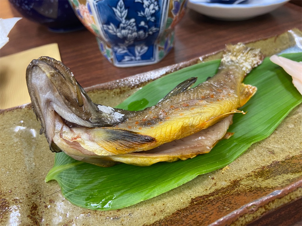 f:id:gouma39:20230522114236j:image