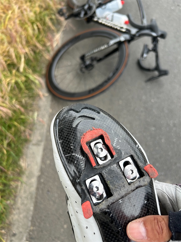 f:id:gouma39:20240512193649j:image f:id:gouma39:20240512193649j:image