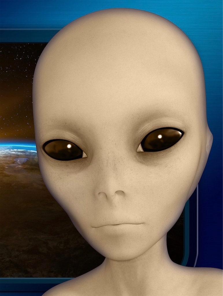 f:id:goumaji:20190710121132j:image f:id:goumaji:20190710121132j:image