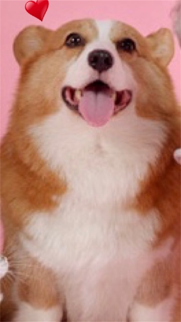 f:id:goumaji:20190722064632j:image f:id:goumaji:20190722064632j:image