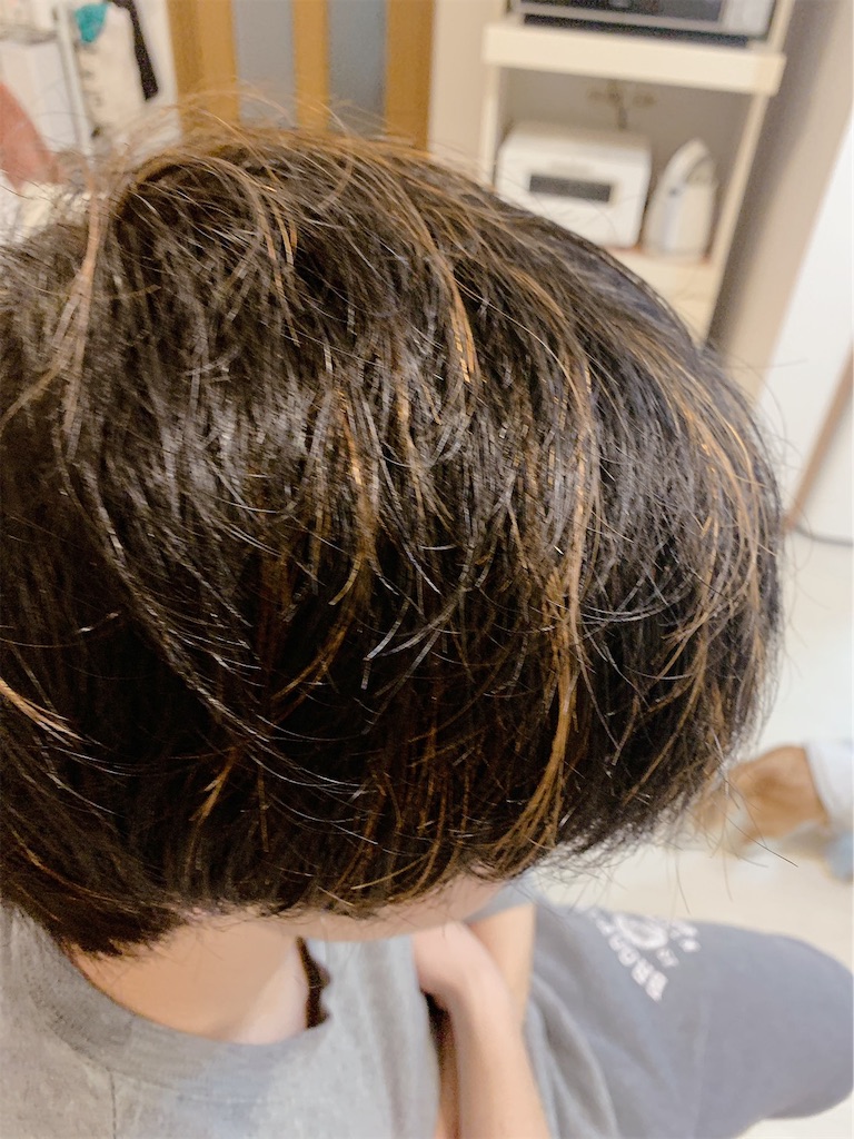 f:id:goumaji:20200226215633j:image