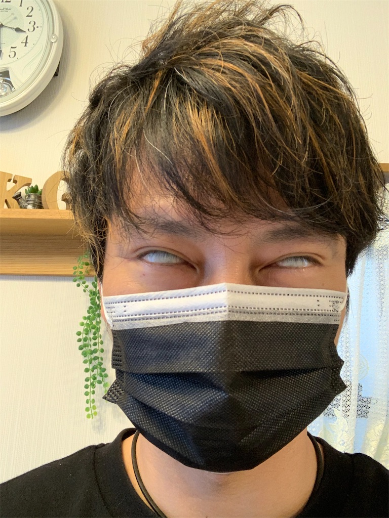 f:id:goumaji:20201104153211j:image