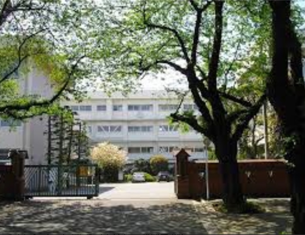 f:id:goumaji:20201111125109j:image