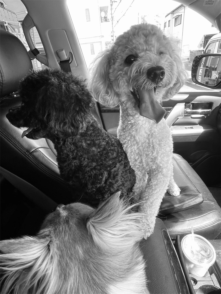 f:id:goumaji:20210924162046j:image f:id:goumaji:20210924162046j:image