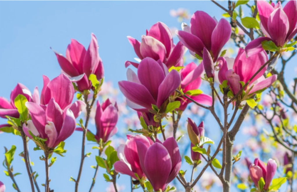 f:id:goumaji:20211007103504j:image