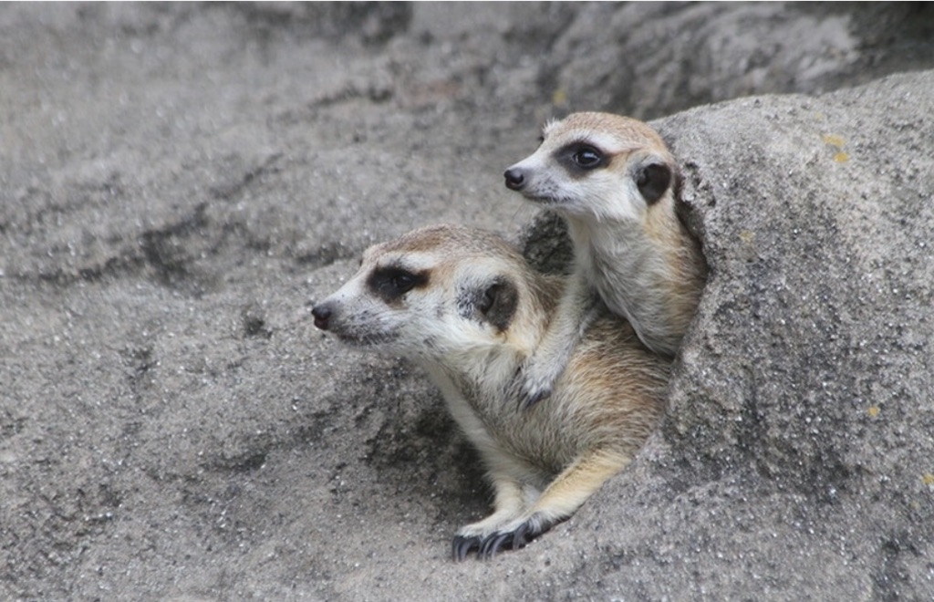 f:id:goumaji:20211024165538j:image f:id:goumaji:20211024165538j:image