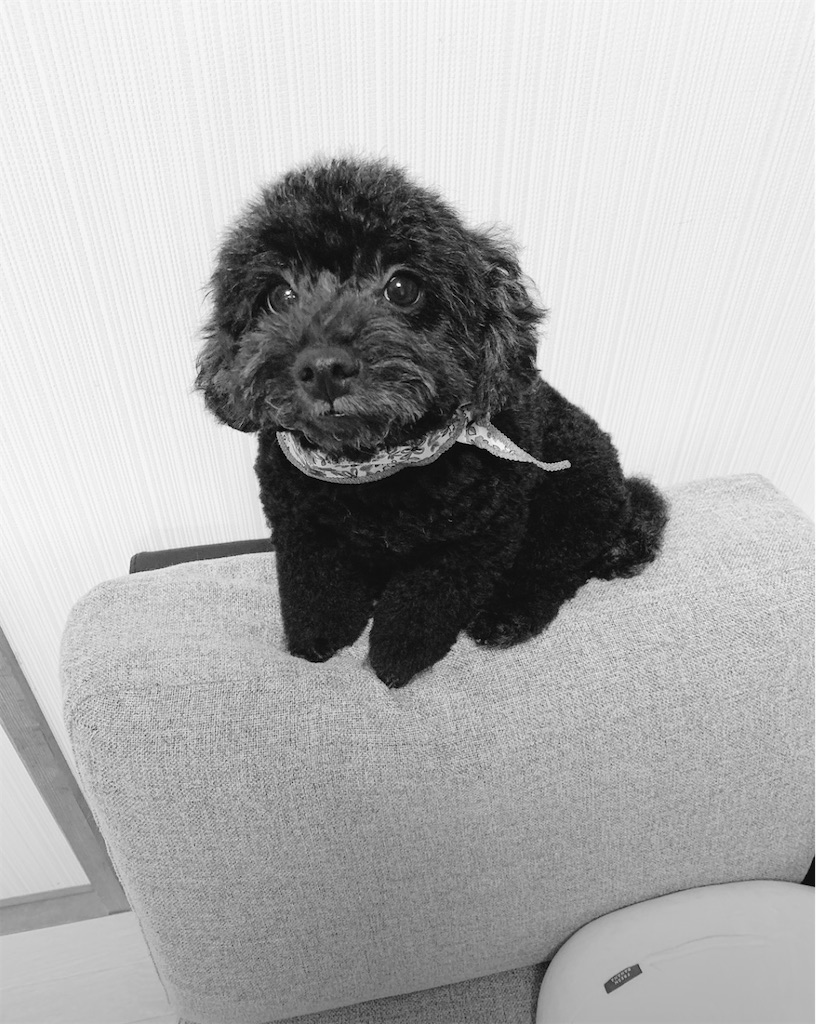 f:id:goumaji:20211030142325j:image