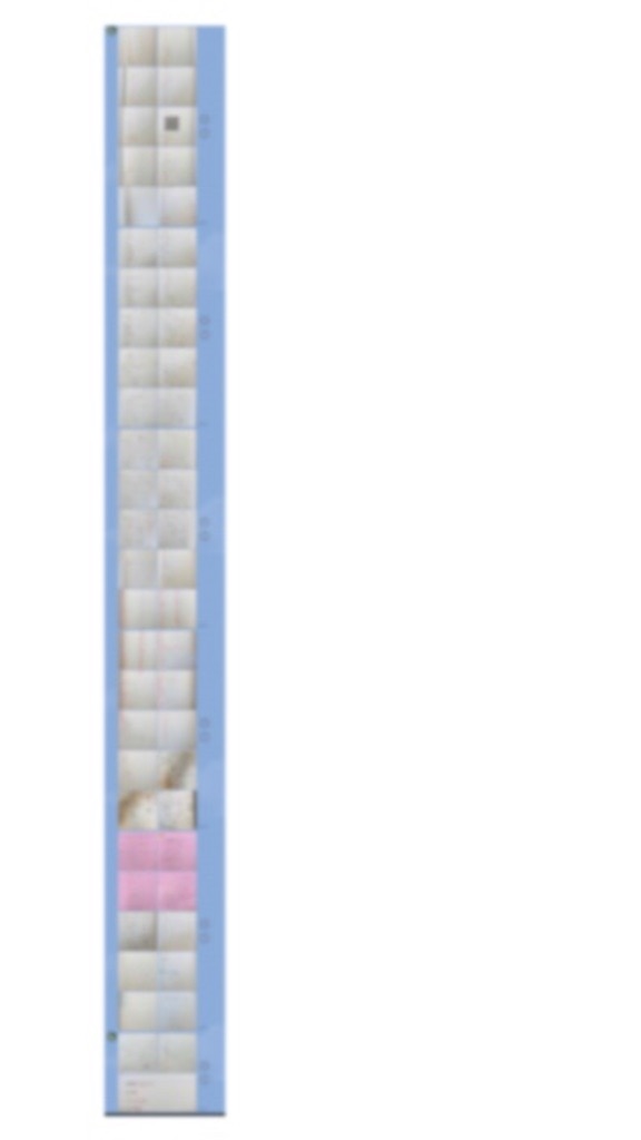 f:id:goumaji:20211124095136j:image f:id:goumaji:20211124095136j:image